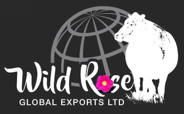 Wild Rose Global Export Canada Cattle